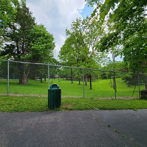 Salato - Whitetail & wild turkey yard