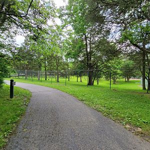 Salato - Whitetail & wild turkey yard