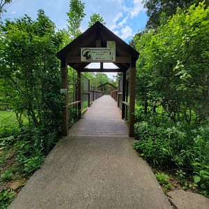 Salato - Whitetail & wild turkey platform