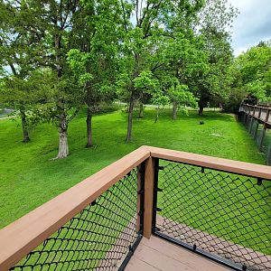 Salato - Whitetail & wild turkey yard