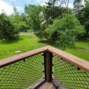 Salato - Whitetail & wild turkey yard