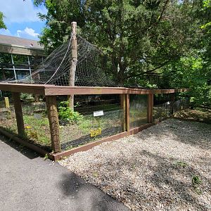 Salato - Small mammals (empty)