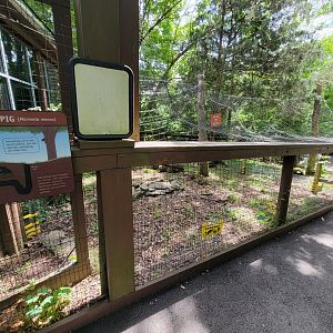 Salato - Small mammals (empty)