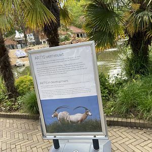 Work on new scimitar-horned oryx enclosure