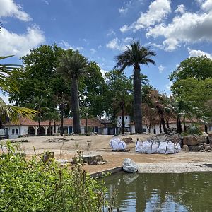 Work on new scimitar-horned oryx enclosure