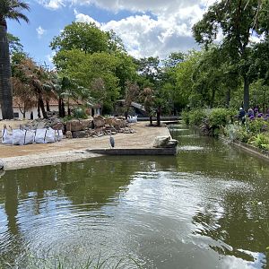Work on new scimitar-horned oryx enclosure