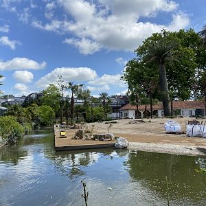 Work on new scimitar-horned oryx enclosure
