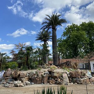 Work on new scimitar-horned oryx enclosure