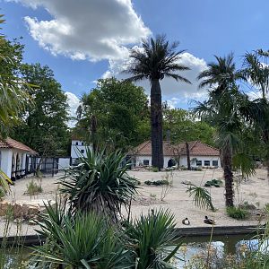 Work on new scimitar-horned oryx enclosure