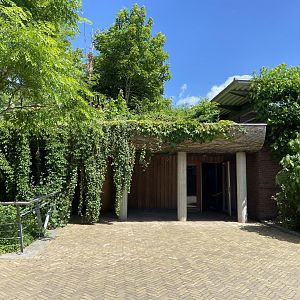 Former scimitar-horned oryx housing