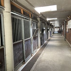 Former scimitar-horned oryx housing