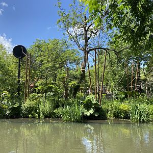 Buff-cheeked gibbon enclosure - island linked to house by overhead passage
