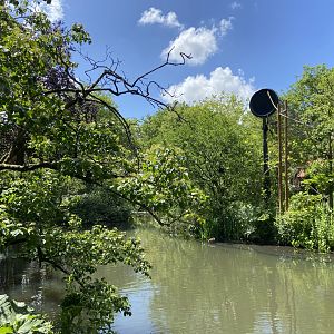 Buff-cheeked gibbon enclosure - island linked to house by overhead passage
