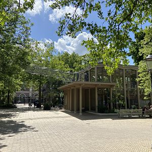 Buff-cheeked gibbon enclosure - island linked to house by overhead passage