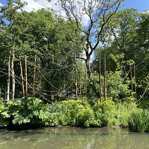 Buff-cheeked gibbon enclosure - island linked to house by overhead passage