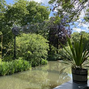 Buff-cheeked gibbon enclosure - island linked to house by overhead passage