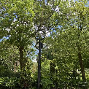 Buff-cheeked gibbon enclosure - island linked to house by overhead passage