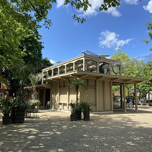 Buff-cheeked gibbon enclosure - island linked to house by overhead passage