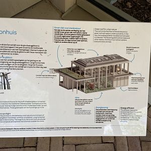 Buff-cheeked gibbon enclosure - island linked to house by overhead passage
