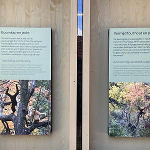 Buff-cheeked gibbon enclosure - island linked to house by overhead passage