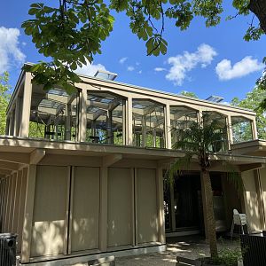 Buff-cheeked gibbon enclosure - island linked to house by overhead passage