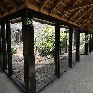 Life Among the Trees