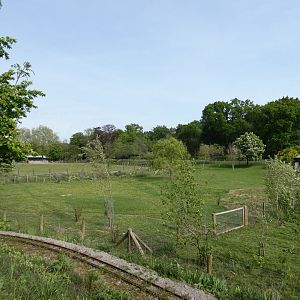 Brazilian tapir enclosure