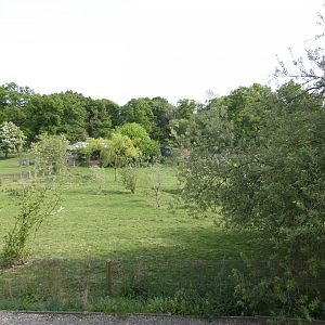 Pygmy hippo outdoor enclosure (2)
