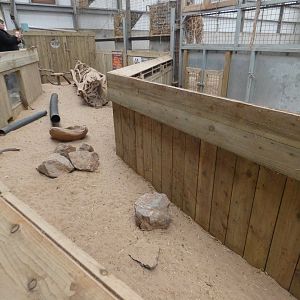 Meerkat indoor enclosure in Africa House