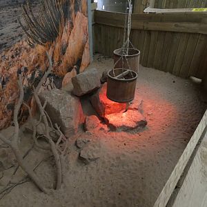 Meerkat indoor enclosure in Africa House (2)