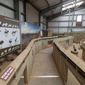 Meerkat indoor enclosure viewing area