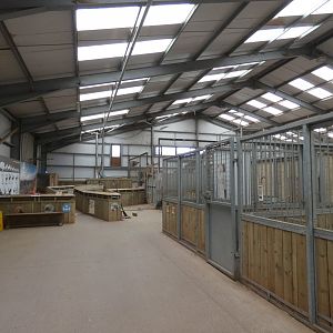 Viewing area in Africa House