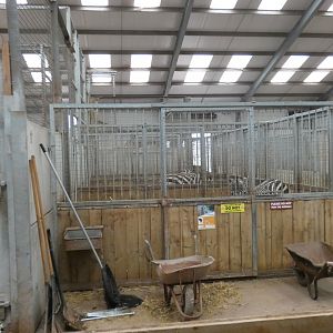 Hoofstock stables