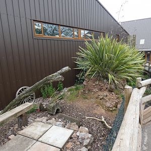 Meerkat outdoor enclosure