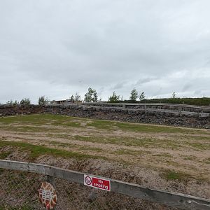 Kordofan giraffe hardstanding area