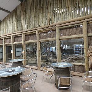 Spectacled bear indoor enclosure viewing area