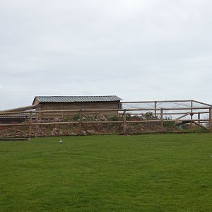 Brush-tailed bettong enclosure