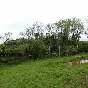 Spectacled bear enclosure