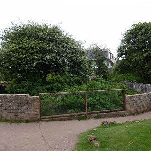 Former meerkat enclosure