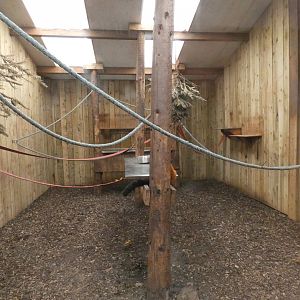 Lemur indoor enclosure