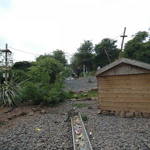 Part of lemur walk-through