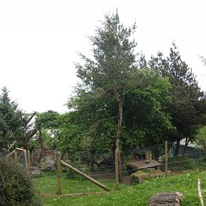 Red panda enclosure