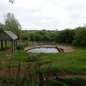 Brazilian tapir enclosure