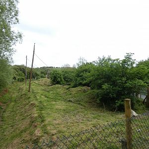 Maned wolf enclosure