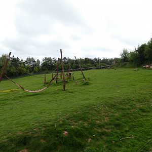 Hamadryas baboon enclosure