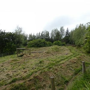 Maned wolf enclosure (2)