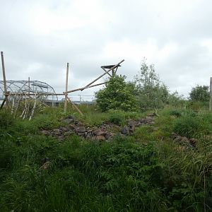 Canadian lynx outdoor enclosure