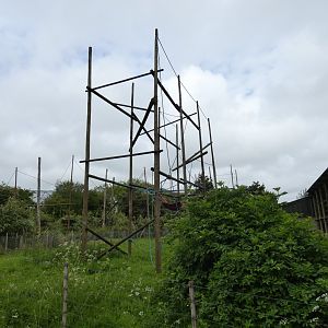 Siamang enclosure