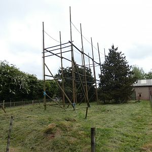 Lar gibbon enclosure (2)