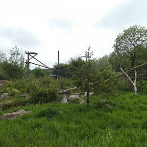 Canadian lynx enclosure (2)